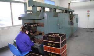 Rotor Production Shop