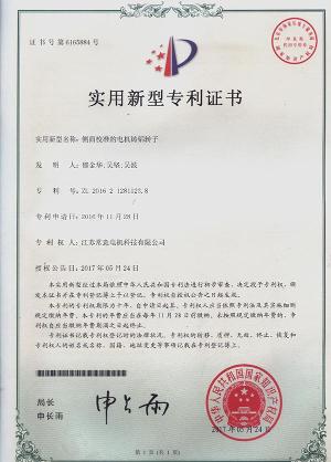Utility Model patent