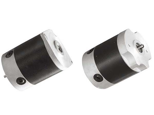 100mm DC-Bürstenmotor