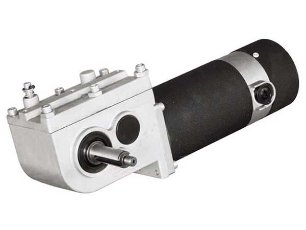 Schneckengetriebemotor ZJD8032